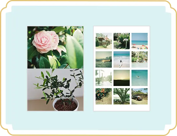 Versatile 用途いろいろ(多目的)